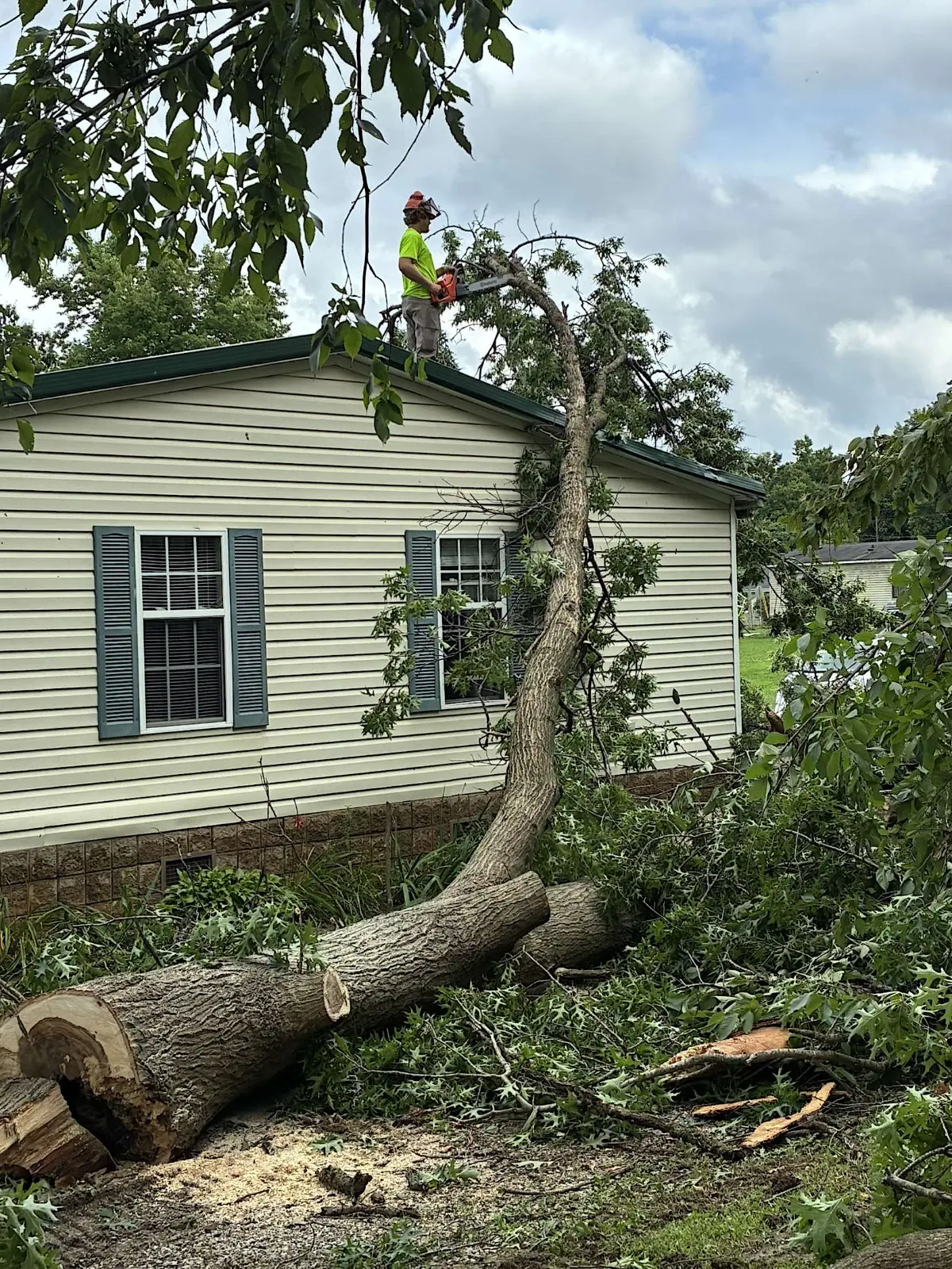 Tree Removal Fayette, MO