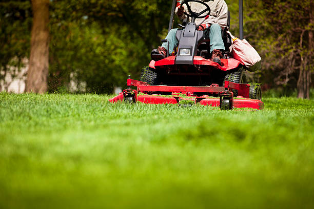Commercial lawn mowing service